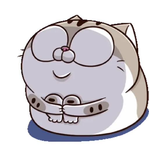 Ami cat 5