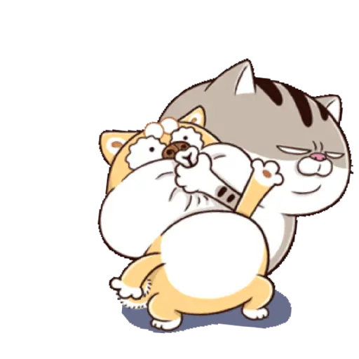 Ami cat 27
