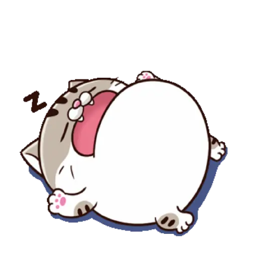 Ami cat 6