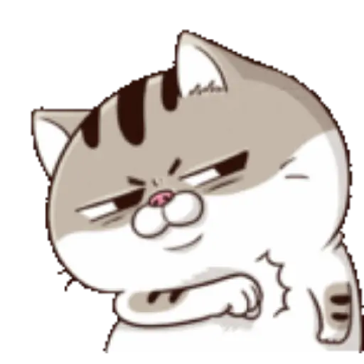 Ami cat 9