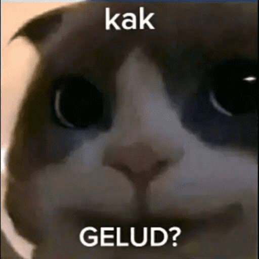 Kucingkak 12