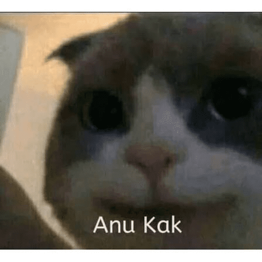 Kucingkak 9