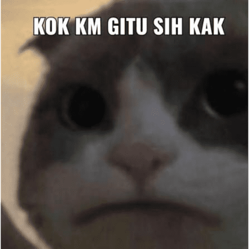 Kucingkak 13