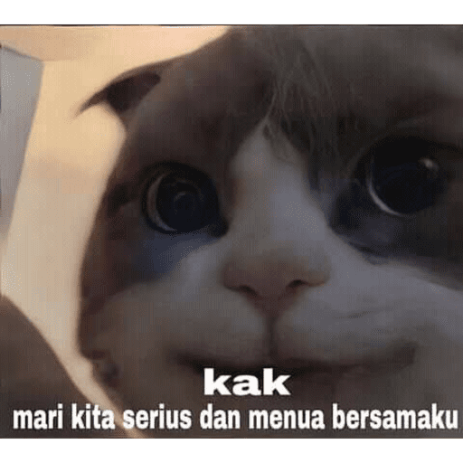 Kucingkak 8