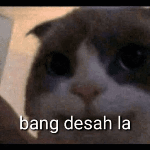 Kucingkak 11