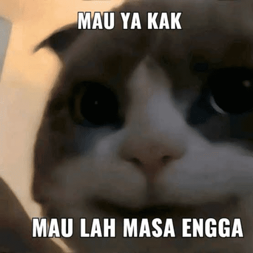Kucingkak 10