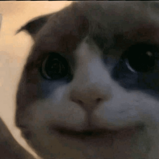 Kucingkak 1
