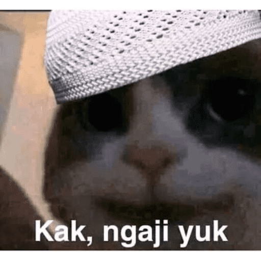 Kucingkak 6