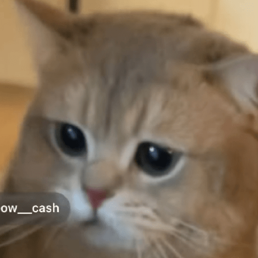 Cash 4
