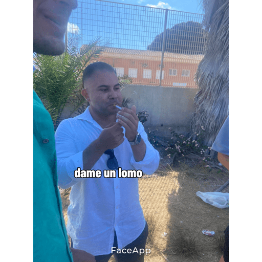 Jeje 7