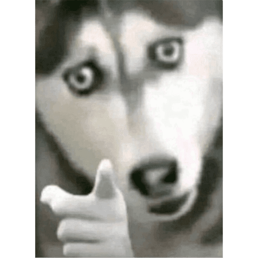 Jeje 6