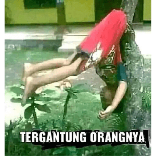 Halo bangsat 9
