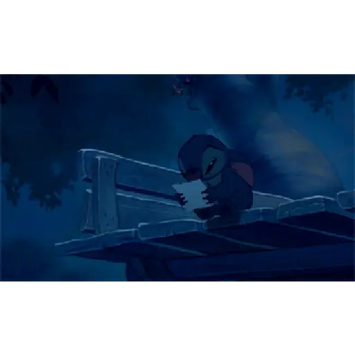 Stich 13