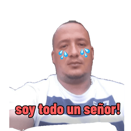 Mis pegatinas 18