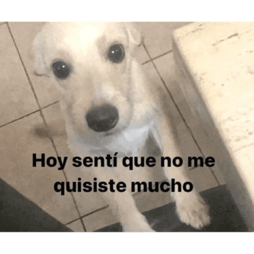 Xdd 5