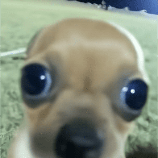 Xdd 9