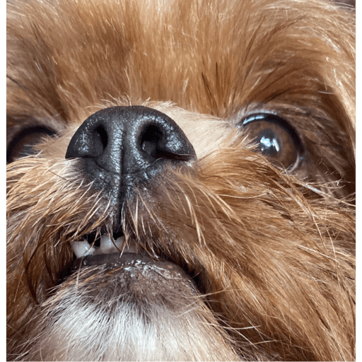 b2ae8d1e-727c-46b4-b9c7-971e58271757.png