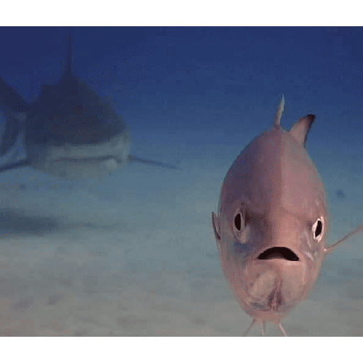 NOSEQUEPONER6 15