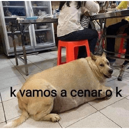 Notengonombreayuda 6