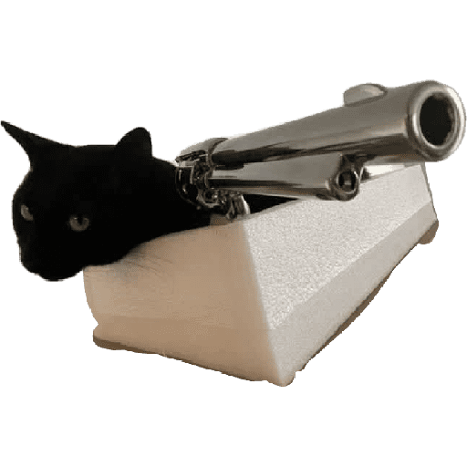 Notengonombreayuda 22