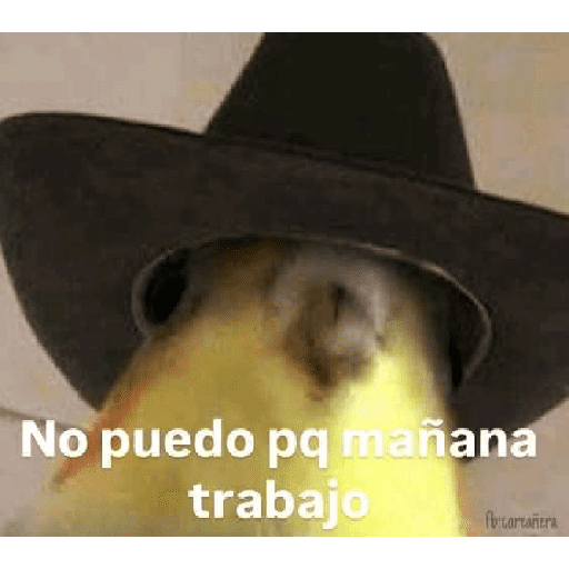 Notengonombreayuda 28