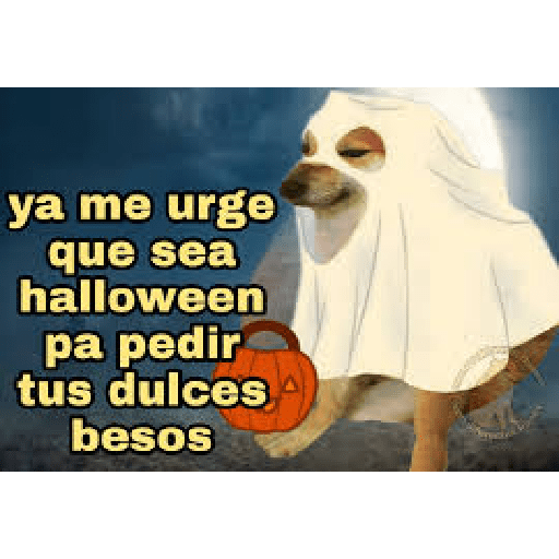 🎃Halloween🎃 17