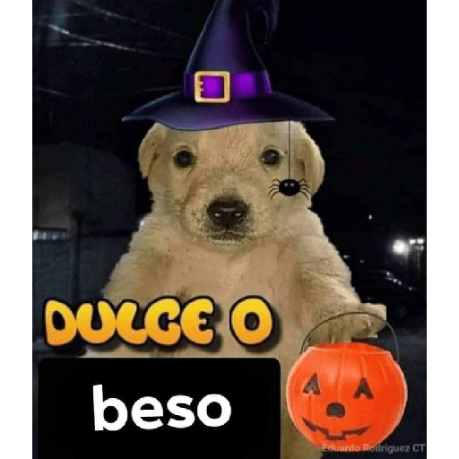🎃Halloween🎃 15