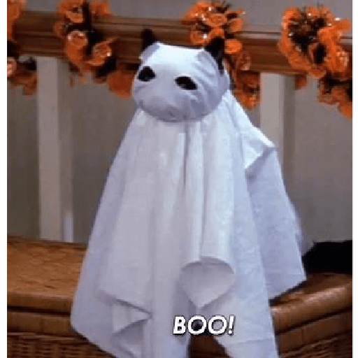 🎃Halloween🎃 13