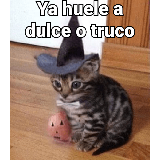 🎃Halloween🎃 18