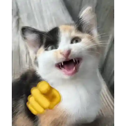 Sticker Image