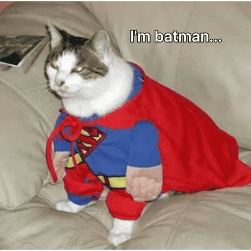 Cats