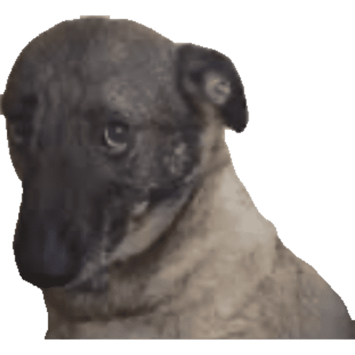 Avav 1