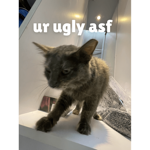 Fuck u 2