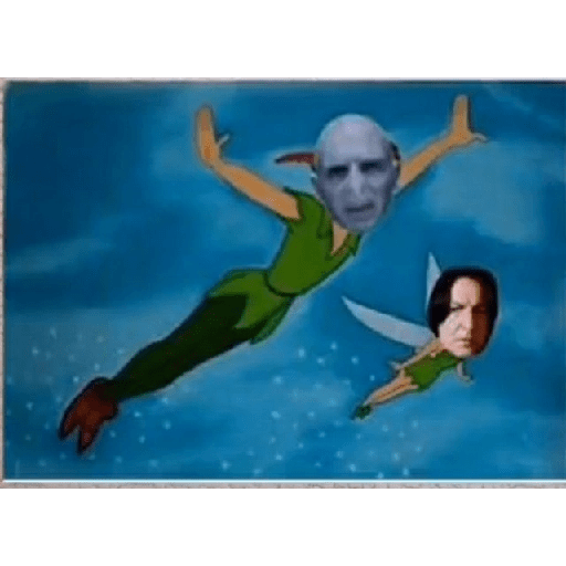 Xdd 6