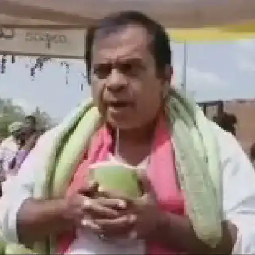Brahmi 19