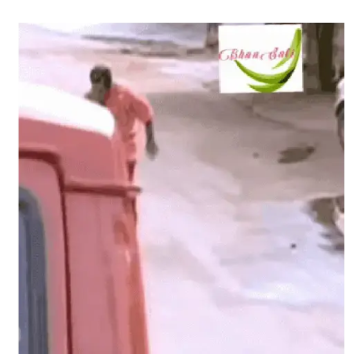 Brahmi 23