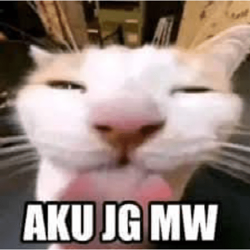 Paket kucing 13