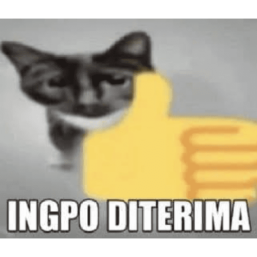 Paket kucing 14