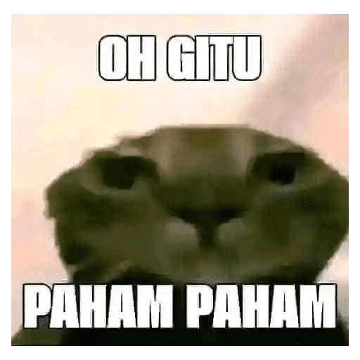 Paket kucing 3