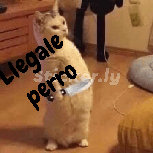 Angry😡 6