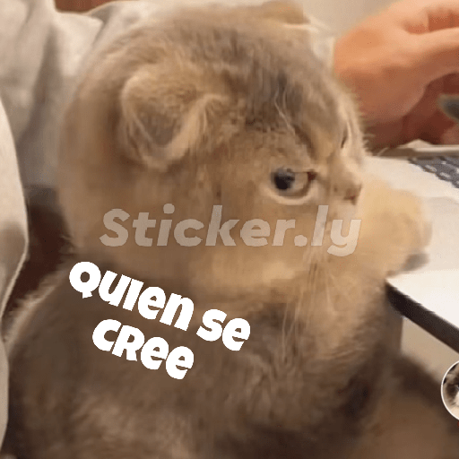 Angry😡 1