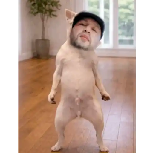 Jajajaj 10