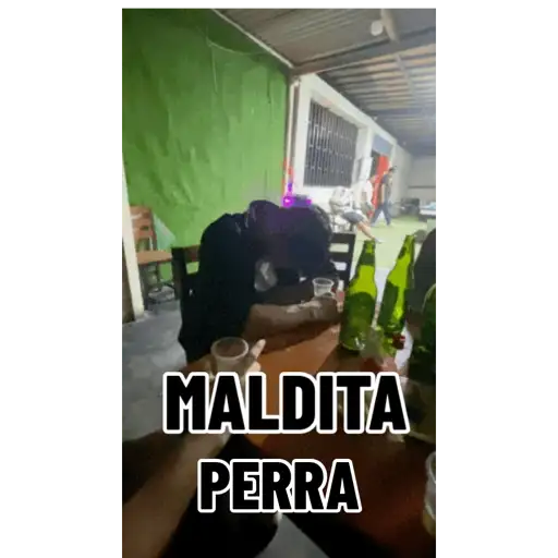 Jajajaj 7