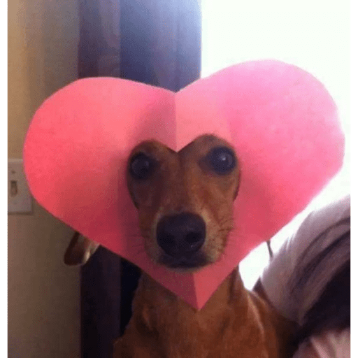 Mis pegatinas 11
