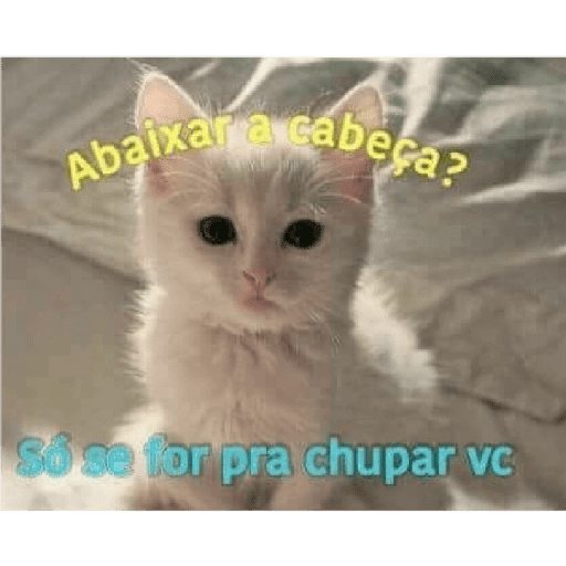 Bichinhos safadjinhos 2 6
