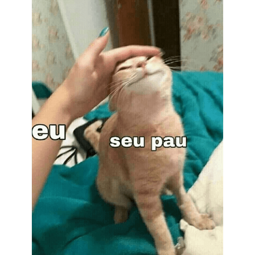 Bichinhos safadjinhos 2 17