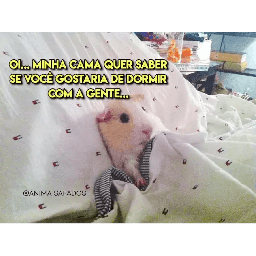 Bichinhos safadjinhos 2 12