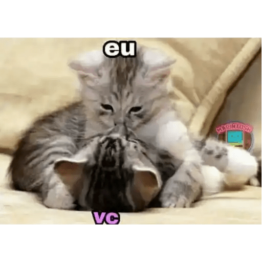 Bichinhos safadjinhos 2 8
