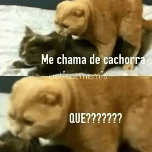 Bichinhos safadjinhos 2 10