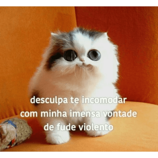 Bichinhos safadjinhos 2 2